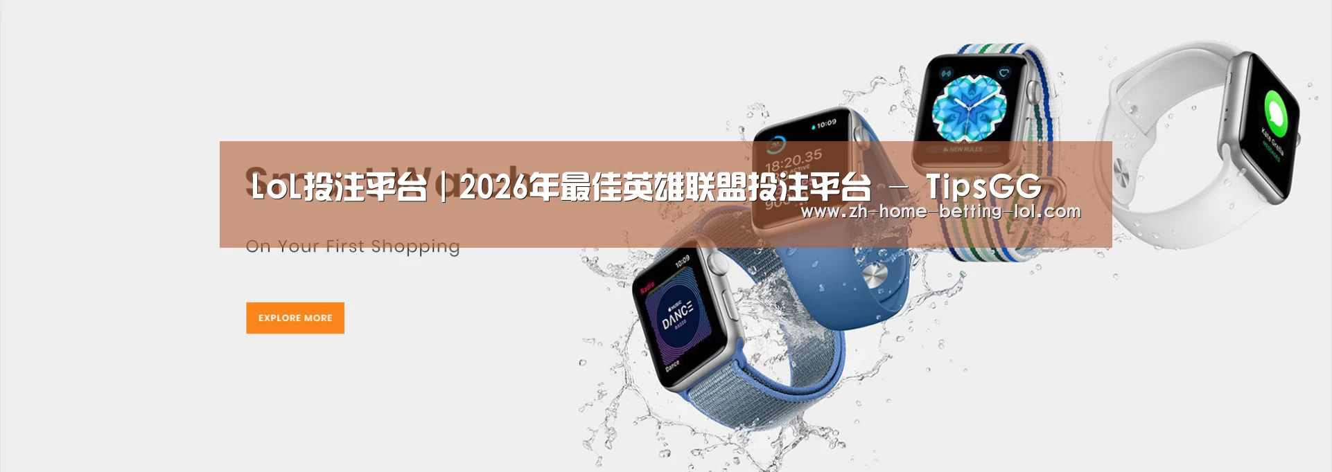 某某网络科技有限公司