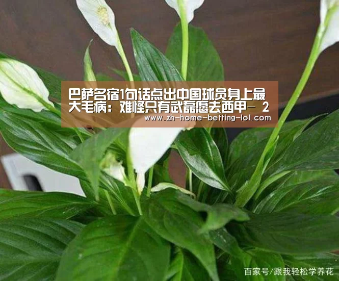  2026年最佳英雄联盟投注网站