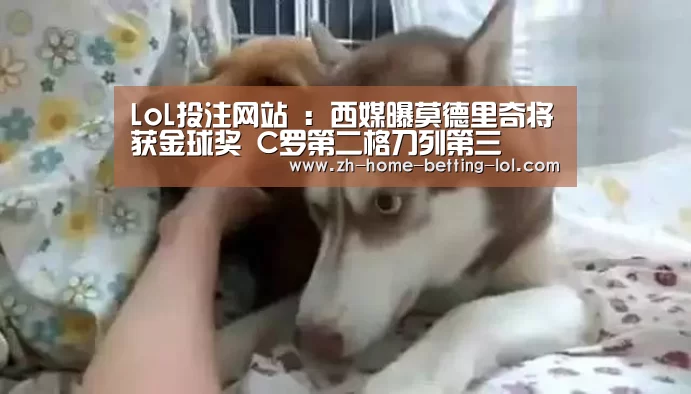 LoL投注网站 :西媒曝莫德里奇将获金球奖 C罗第二格刀列第三(图1) LoL投注网站