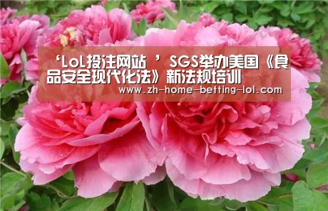 LoL投注网站 