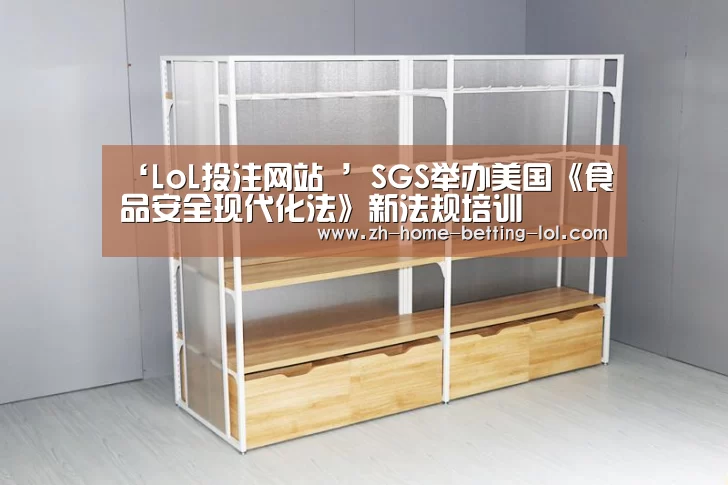  2026年最佳英雄联盟投注网站