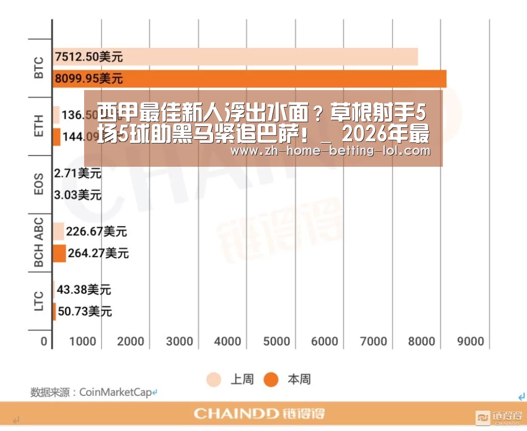 LoL投注网站 