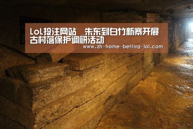 LoL投注网站 _朱东到白竹新寨开展古村落保护调研活动(图2) LoL投注网站