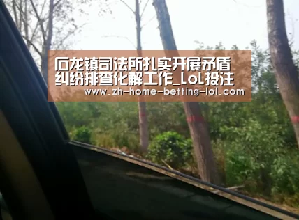  2026年最佳英雄联盟投注网站