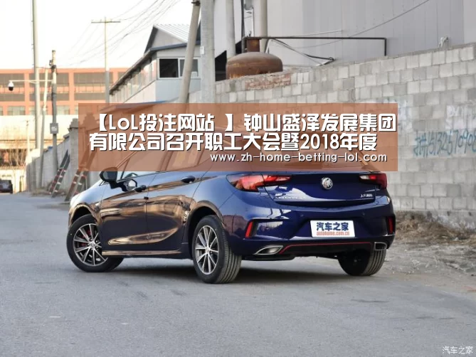 LoL投注网站 