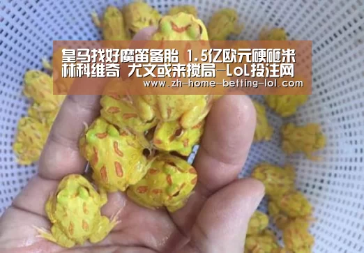 皇马找好魔笛备胎 1.5亿欧元硬砸米林科维奇 尤文或来搅局-LoL投注网站 (图3) 2026年最佳英雄联盟投注网站