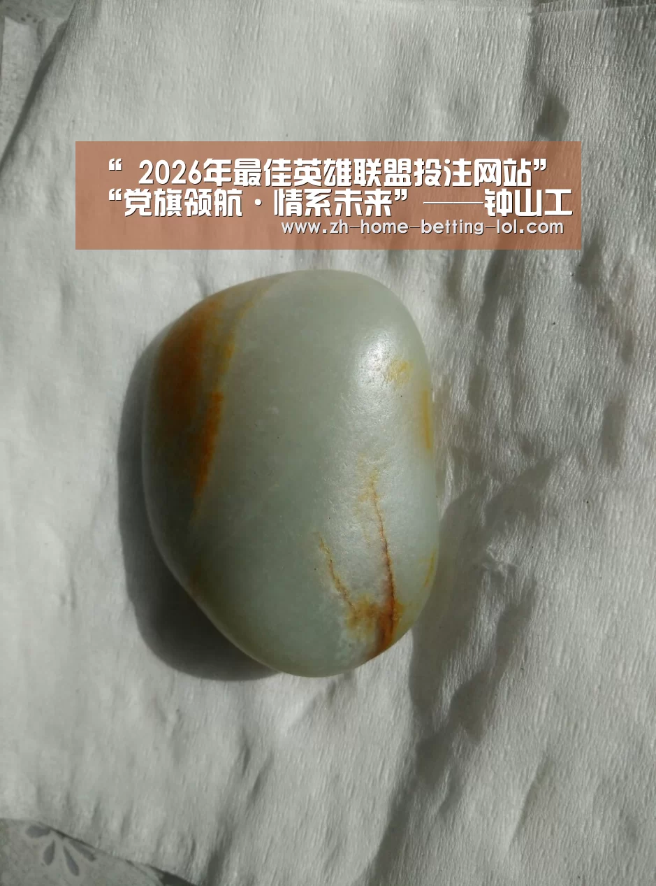 “ 2026年最佳英雄联盟投注网站”“党旗领航·情系未来”——钟山工业园区组织爱心企业开展“六一”慰问活动(图2) LoL投注网站